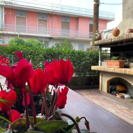 Triptolemus Stay Inn Ελευσίνα Εξωτερικό φωτογραφία